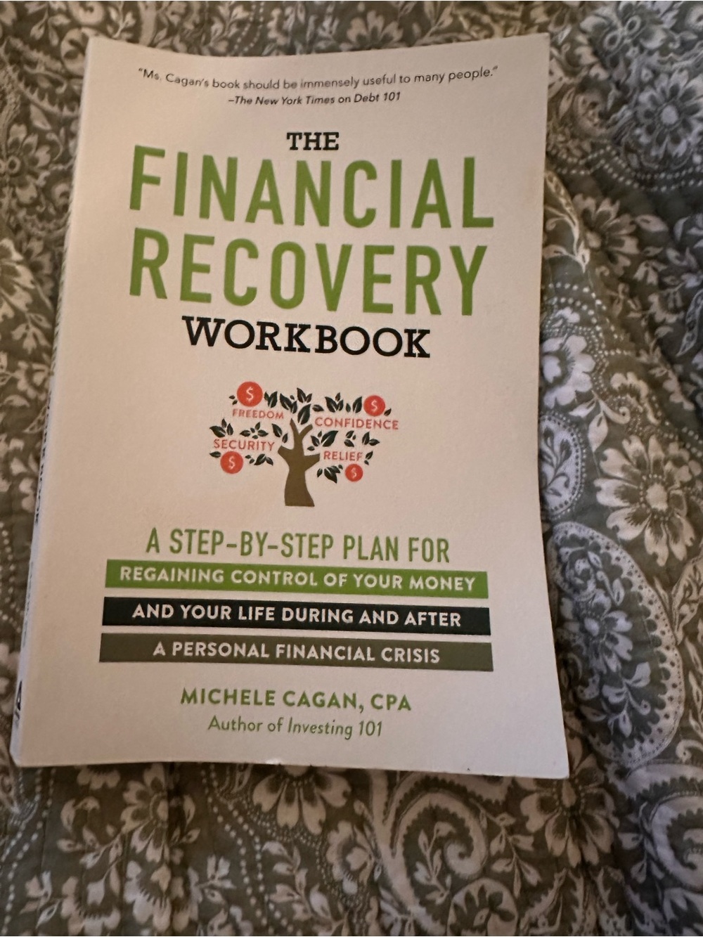 Michele Cagan, CPA - The Financial Recovery Workbook